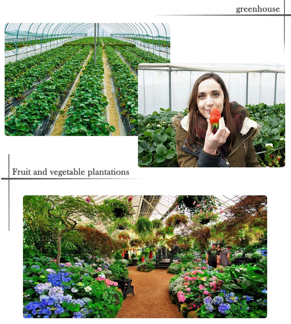 650W 1000W  LM301H EVO MeanWell LED Grow Light Bar Timmer UV IR On/Off For Indoor Flower Tent Plant Growth Phyto Lamp