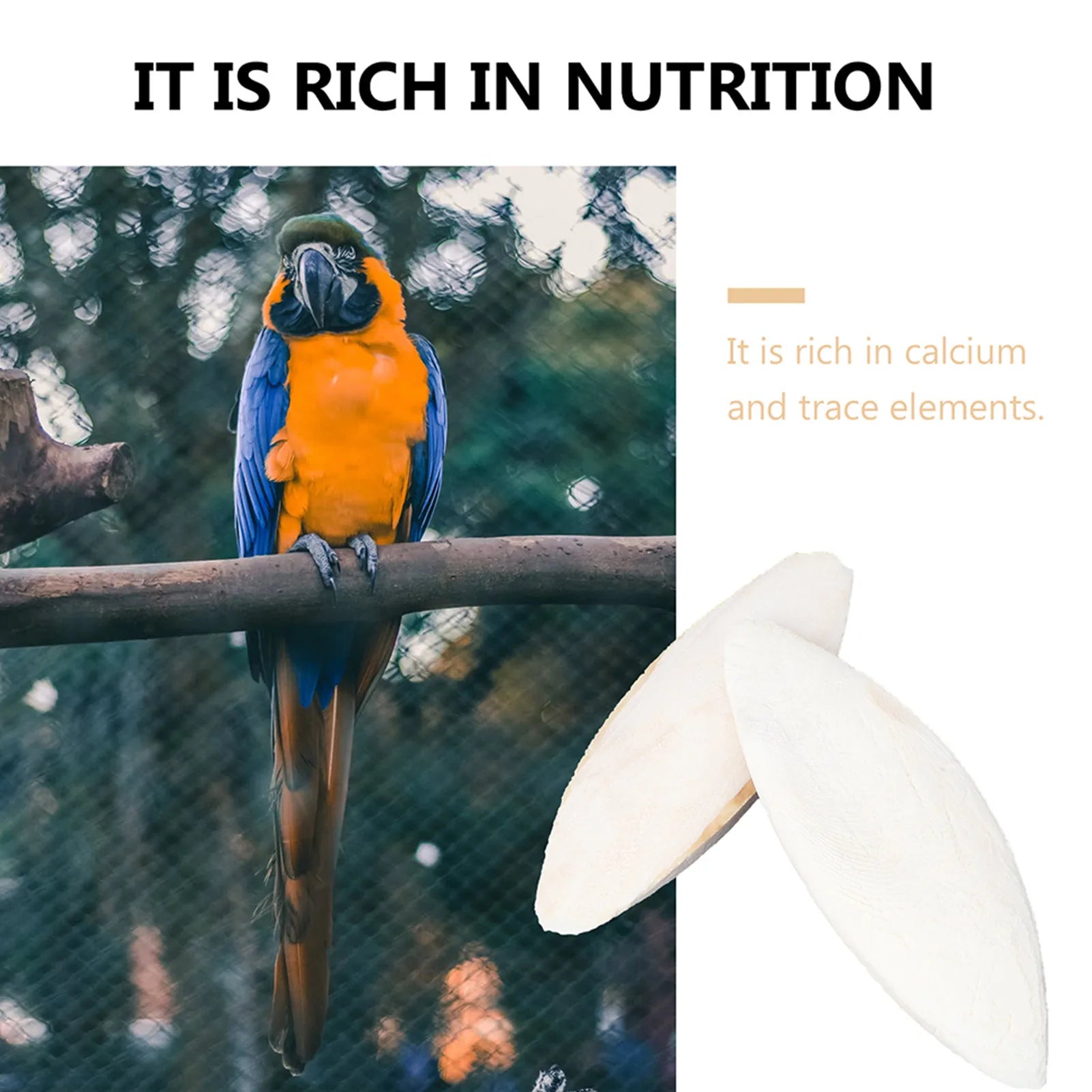 10pcs natural cuttlebone for birds, calcium-rich chewing toy for parrots and hamsters to support healthy beaks.