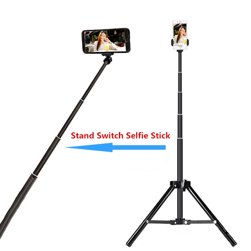 10 Inch LED Ring Light with Phone Holder | Adjustable Studio Lighting Tidesmit