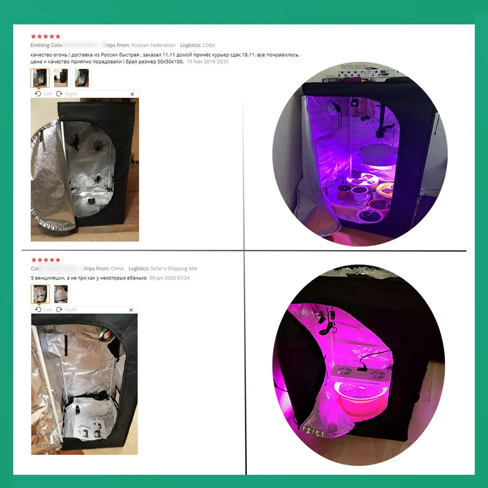 Grow tent setup with reflective grow walls and purple LED lighting, close-up view