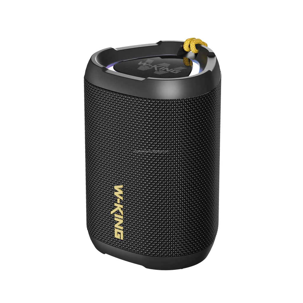 IPX6 Waterproof Outdoor Portable Bluetooth Speaker W-King D110 Audio Speaker with RGB TF AUX Wireless Camping Traveling Speaker Black My Store