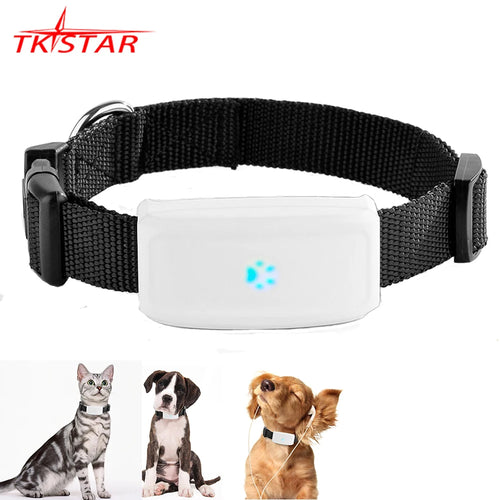 TKSTAR black pet GPS tracker collar with white module and blue status dot