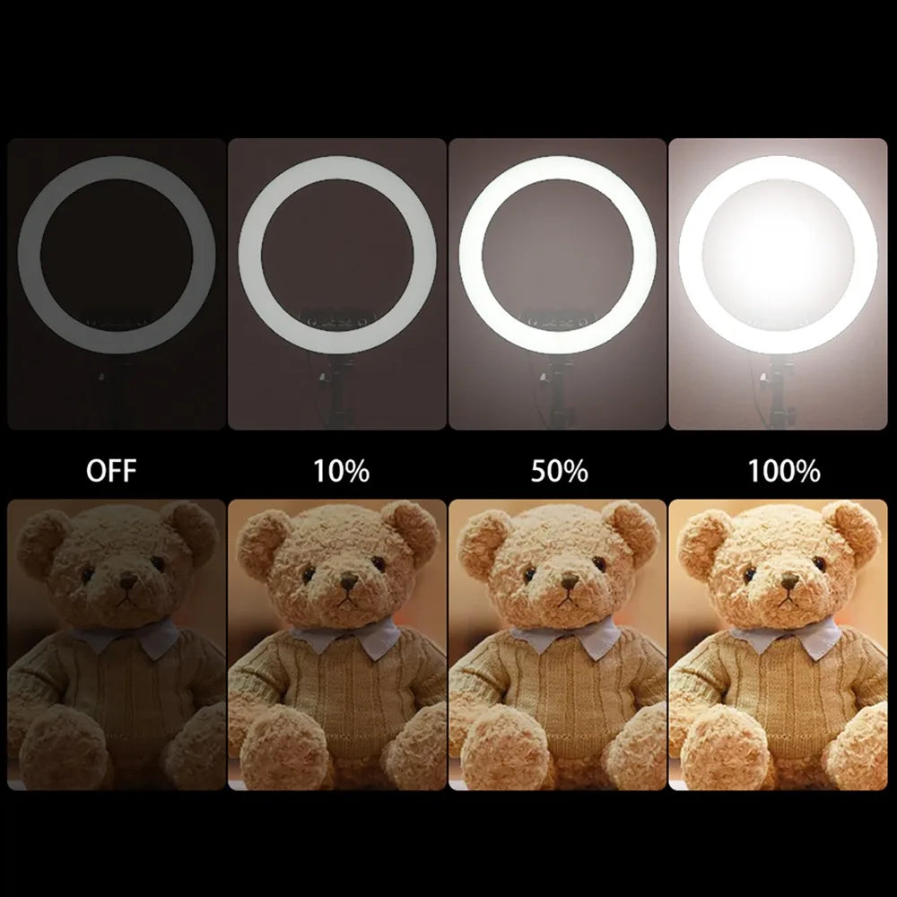 Circular LED ring light showing four brightness levels (off, 10%, 50%, 100%) illuminating a plush teddy bear.