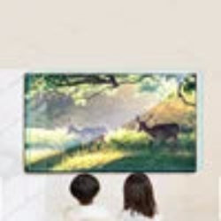 Super Clear Anti Blue Light Protective Film Anti UV Reduce Eye Fatigue Protection Screen Protector for MobilePhone/Tablet/Laptop Blue Light Cut Filter For 65 Inch 1440*809mm Tidesmit