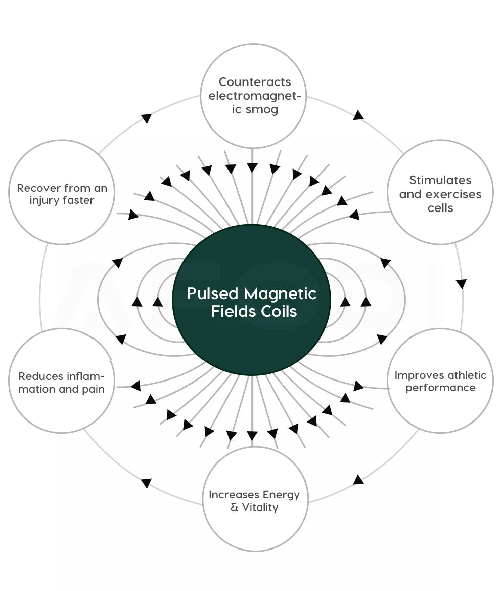Diagram showing Pulsed Magnetic Fields Coils at center with circular nodes listing health and recovery benefits.