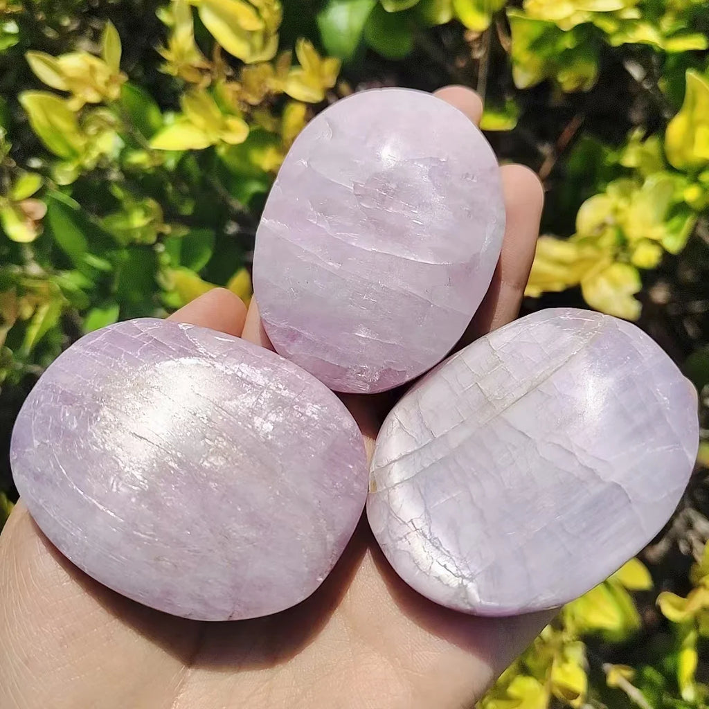 Kunzite Palm Pieces, Semi-precious Stones, Potted Landscaping Ornaments, Popular Science Minerals,About 6-8pcs/kg