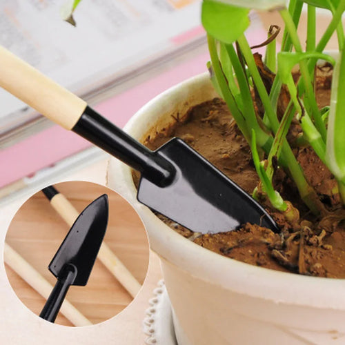 Mini spade and rake tools with wooden handles for planting in small pots
