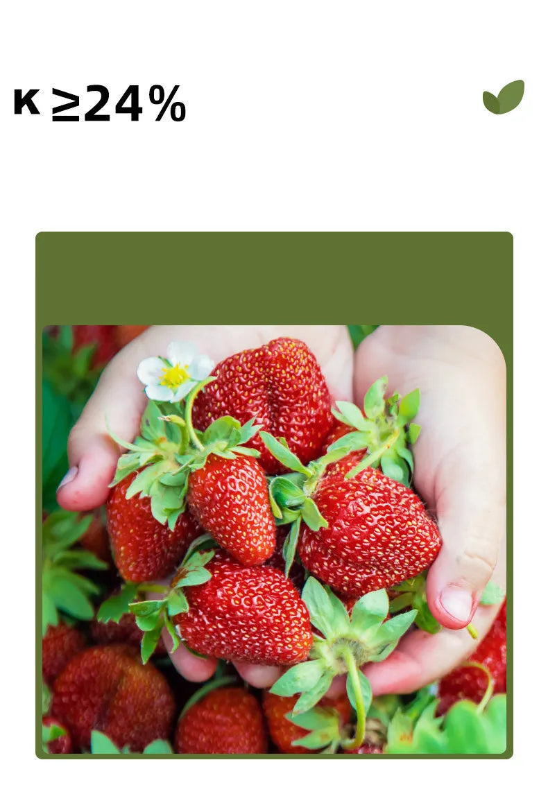 350g natural potassium magnesium of sulphate fertilizer Vegetable and fruit universal water-soluble organic fertilizer