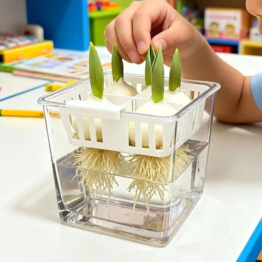 Hydroponic Planter Tulip Bulb Planter 4-cell Hydroponic Flower Pot with Reservoir Indoor Gardening Pot Drainage System for Home
