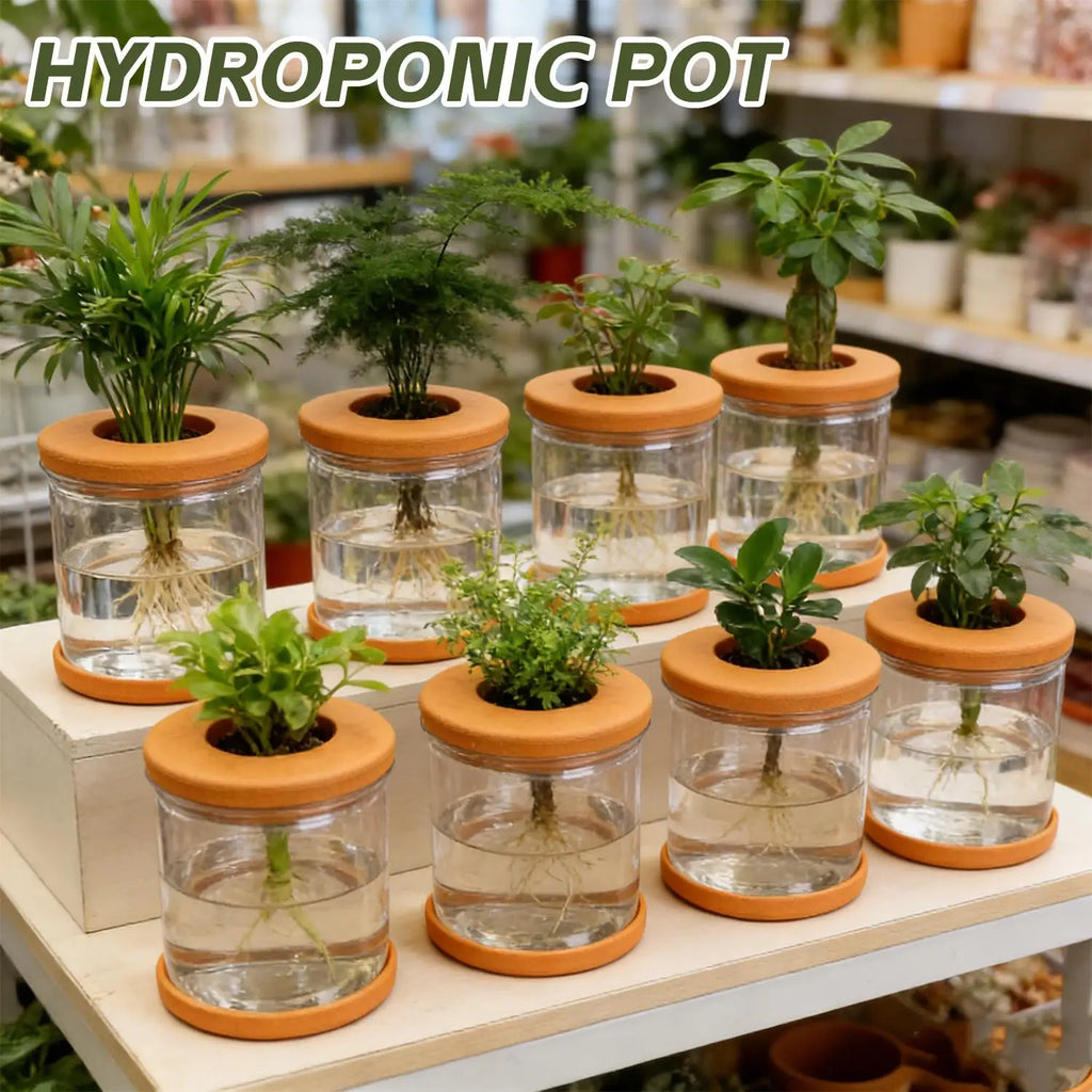 5/1PCS Transparent Hydroponic Flowerpot Hydroponic Plant Container with Soft Stopper Non Slip Bottom Home Office Gardening Pots