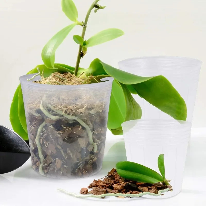 10/50PCS Transparent Seedling Pot Plants Nursery Pot Cups Gardening Transplantation Potted Flowerpot Planter Gardening Tools