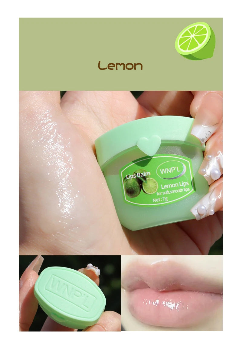 Moisturizing Lip Balm Set - Natural Plant-Based Lip Care (4-8pcs) Lip Care Tidesmit