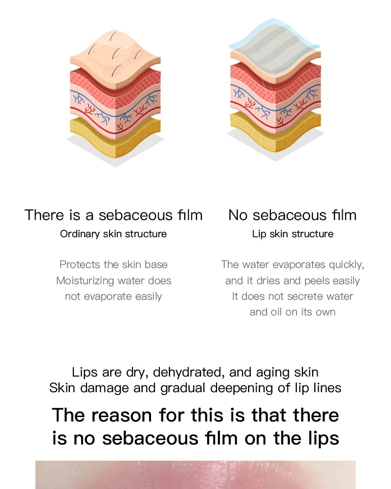 Flower Lip Balm - Moisturizing Tinted Lip Care & Hydrating Treatment Lip Care Tidesmit