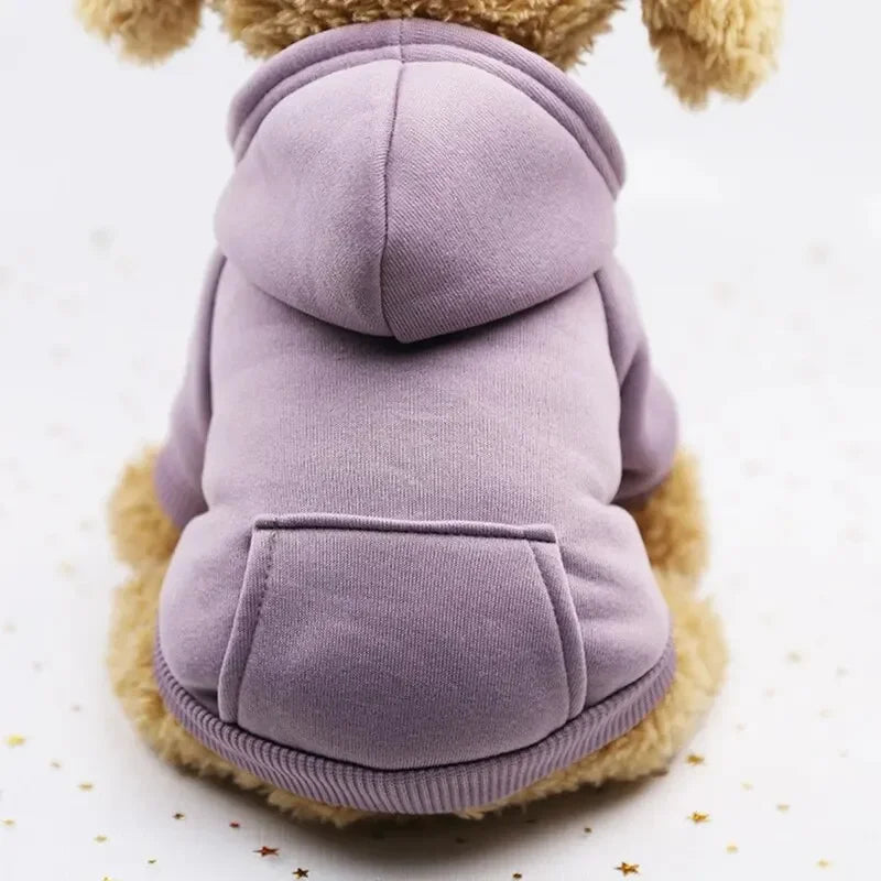 Small dog wearing a cozy, thick purple hooded sweater for warmth during autumn and winter walks.