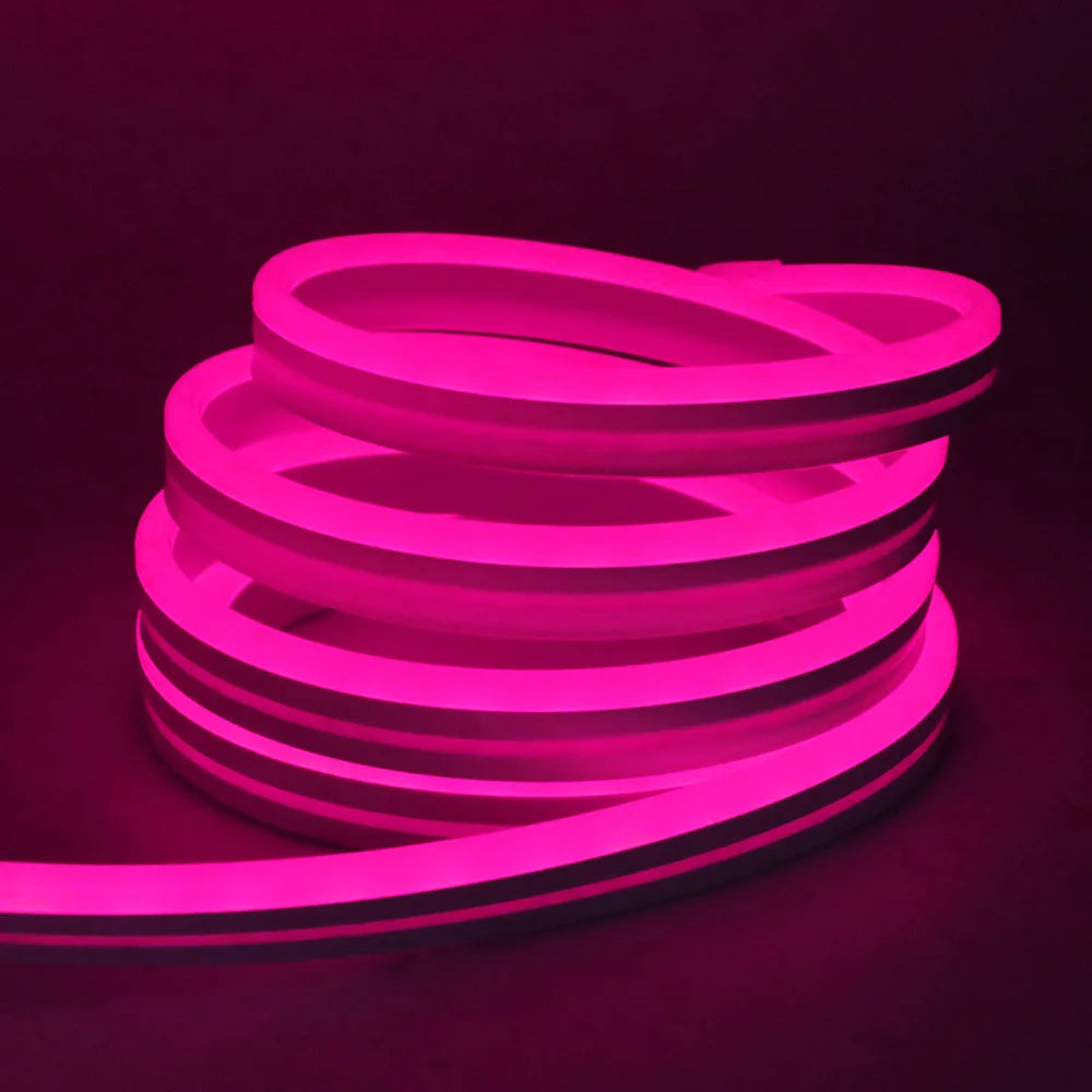 RGB Neon Light LED Rope Light Waterproof APP Remote Control Music Sync 24V Flexible DIY Silicone Strip Light for Indoor Outdoor