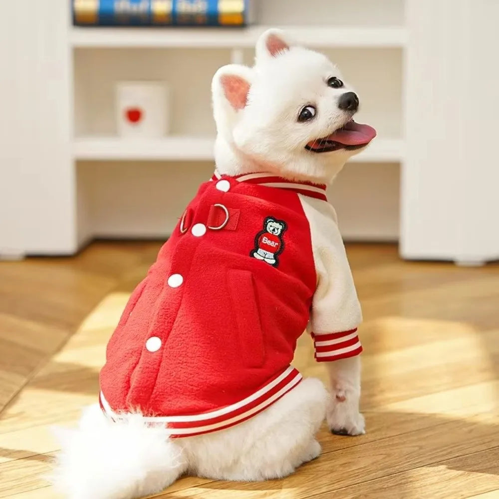 Small white dog wearing a cozy red and white baseball-style winter jacket with D-ring for leash attachment.