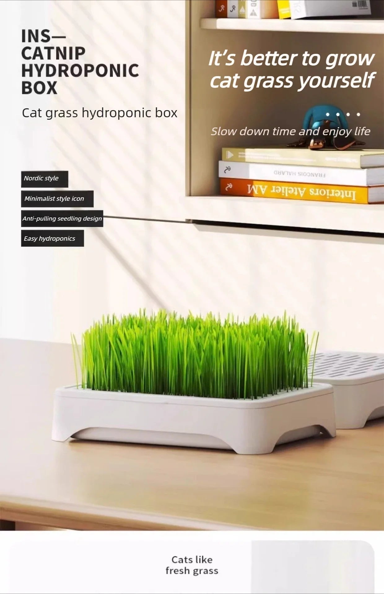 White cat grass hydroponic box with green grass on countertop