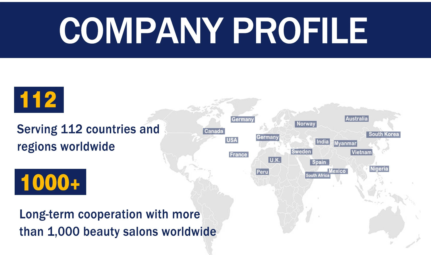 Company profile graphic showing a world map with labels for 112 countries and 1,000+ salon partnerships worldwide.