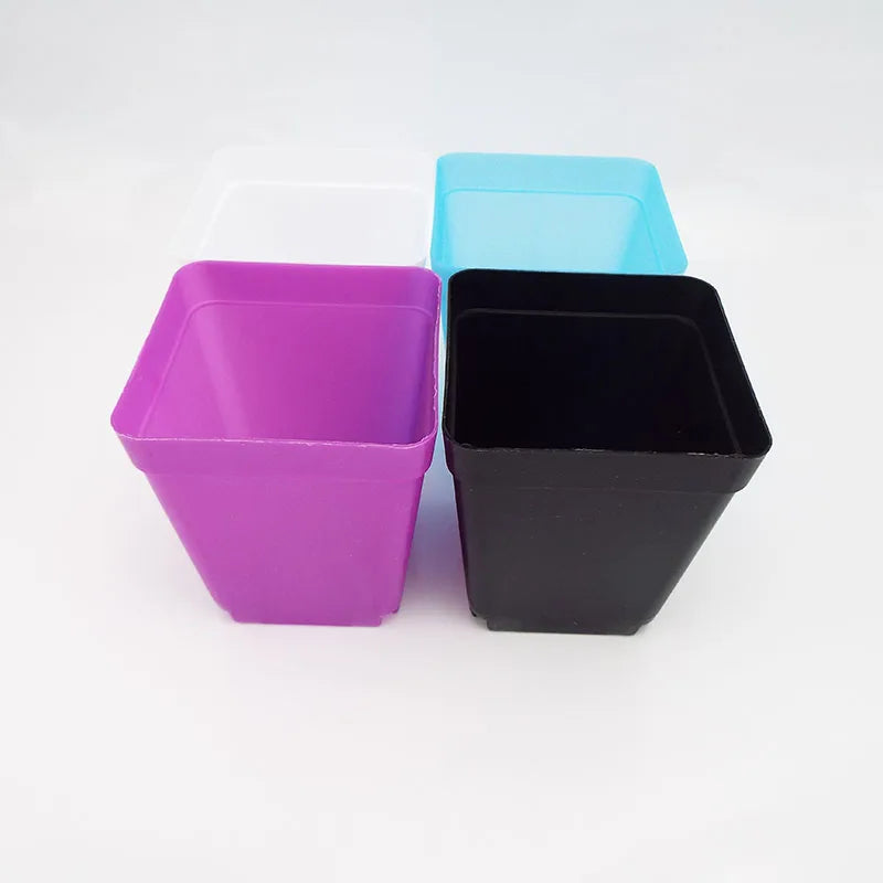 Small square plastic mini pots for succulents in purple and black with square shapes.