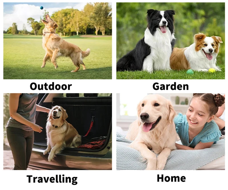 Disposable pet wash-free cleaning gloves for easy, gentle deodorizing of dogs and cats at home or while traveling.