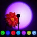 Sunset lamp projecting a circular purple light behind a red flower; small stand with seven selectable color modes.