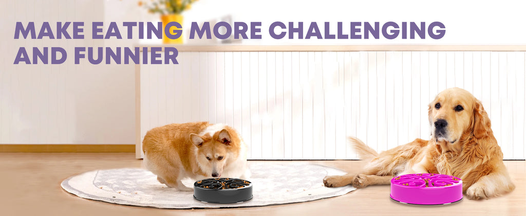 Black and pink non-slip slow feeder bowls for dogs to prevent gulping and aid digestion during mealtime.