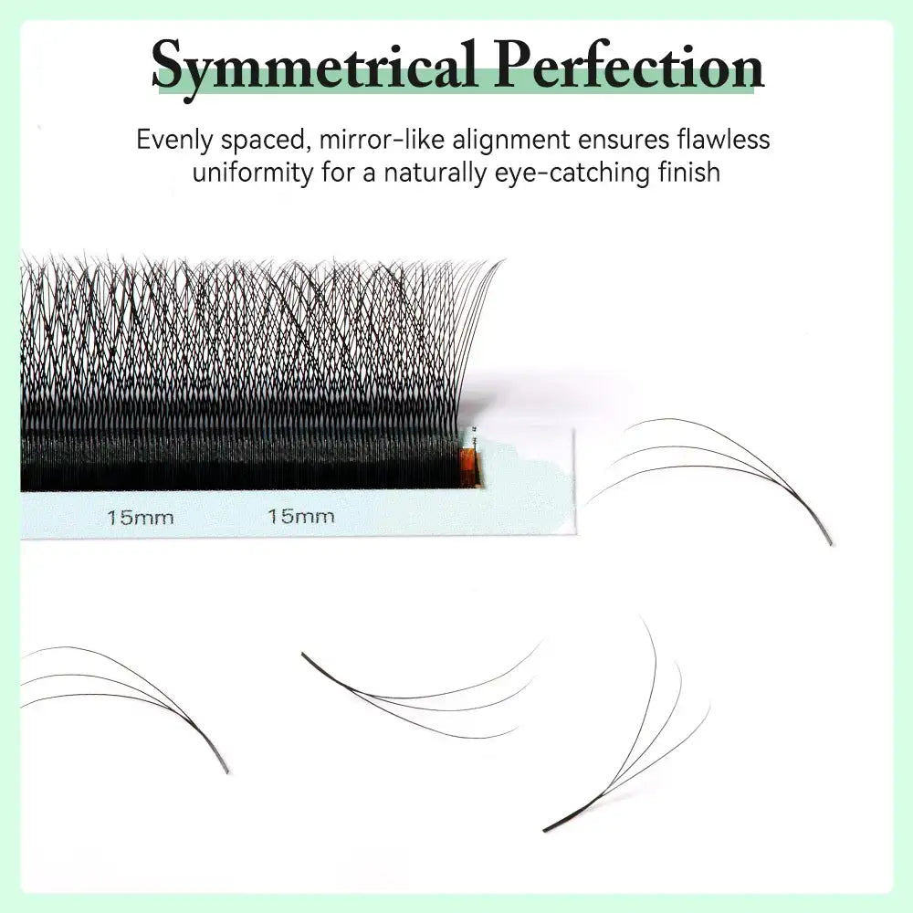 Black 3D W-shape premade volume lash extension fans on a strip, showing symmetrical spacing and natural, soft fibers.