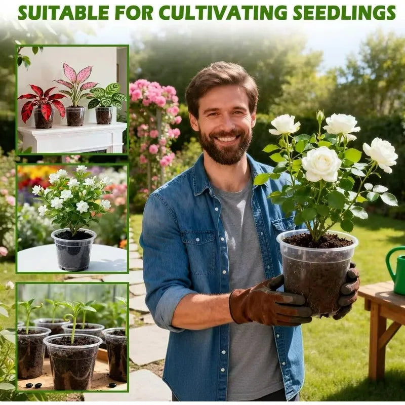Transparent plant nursery cup with dark soil, held for cultivating seedlings