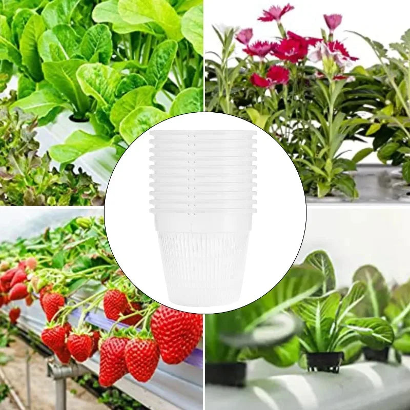 Meshpot Clear Orchid Pots Plastic Orchid Pot with Hole Nursery Flower Breathable Basin Outdoor Planters Gardening Tool Wholesale