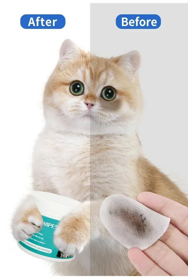 Pet eye wipes removing tear stains on a cat, shown in a before and after cleaning demonstration for dogs and cats.