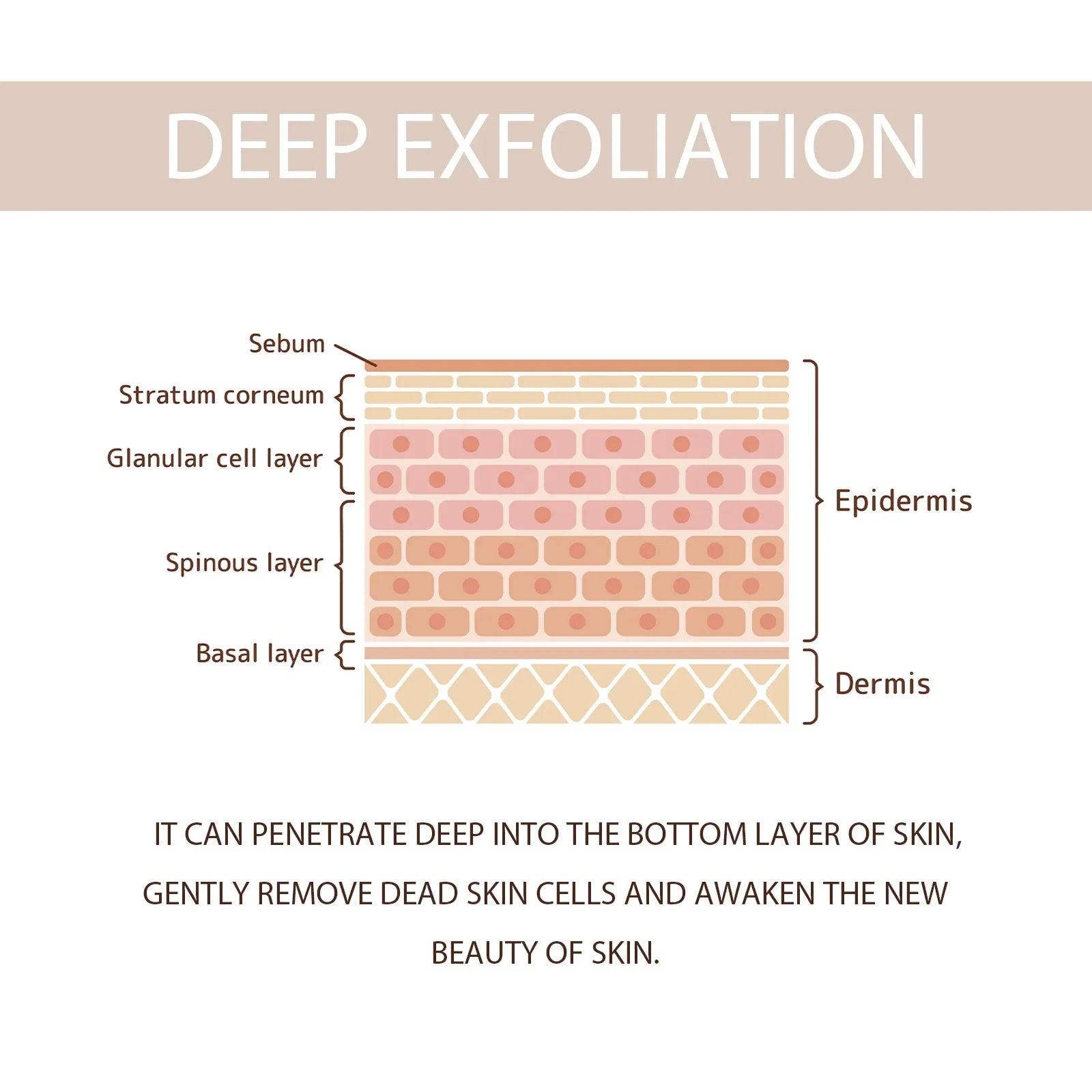 Exfoliating Face Gel – Pore Smoothing & Brightening Treatment (50g) Scrubs Treatments Tidesmit