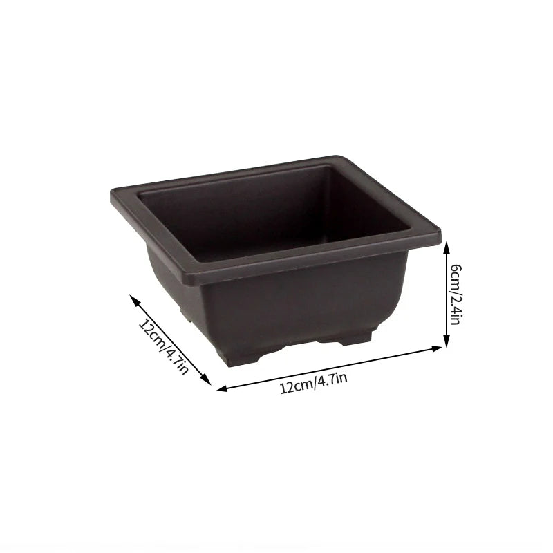 Square bonsai planter pot in dark plastic, open top with molded rim and base