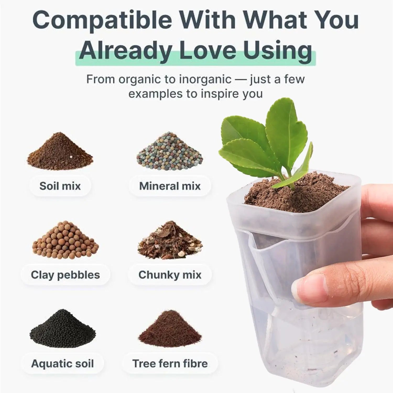 Transparent self-watering planter with seedling in clear pot, hand holding planter