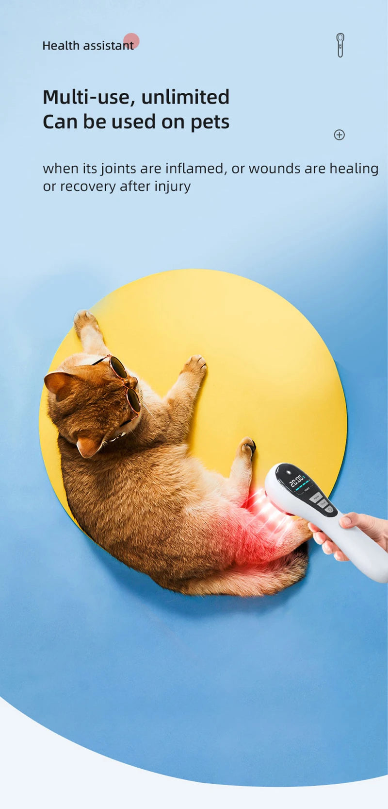 Hand-held red light therapy device for pet pain relief, features digital display, and cold laser arthritis treatment.