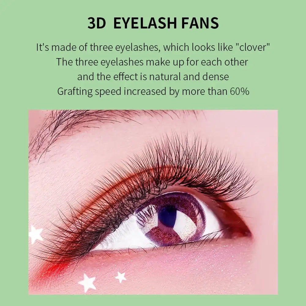 GLAMLASH L/LU/M W Shape Eyelash Extension 3D Premade Volume Fan Lashes W Style YY Lashes Faux Mink Volume Lashes Natural Eyelash False Eyelashes Tidesmit