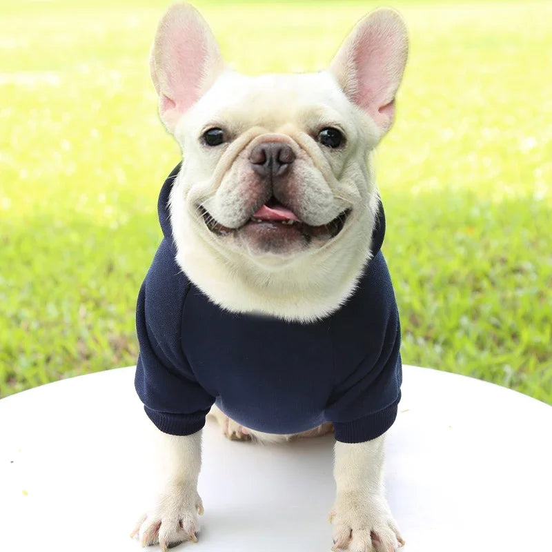 French Bulldog wearing a warm, navy blue hooded dog sweater for cozy autumn and winter style.