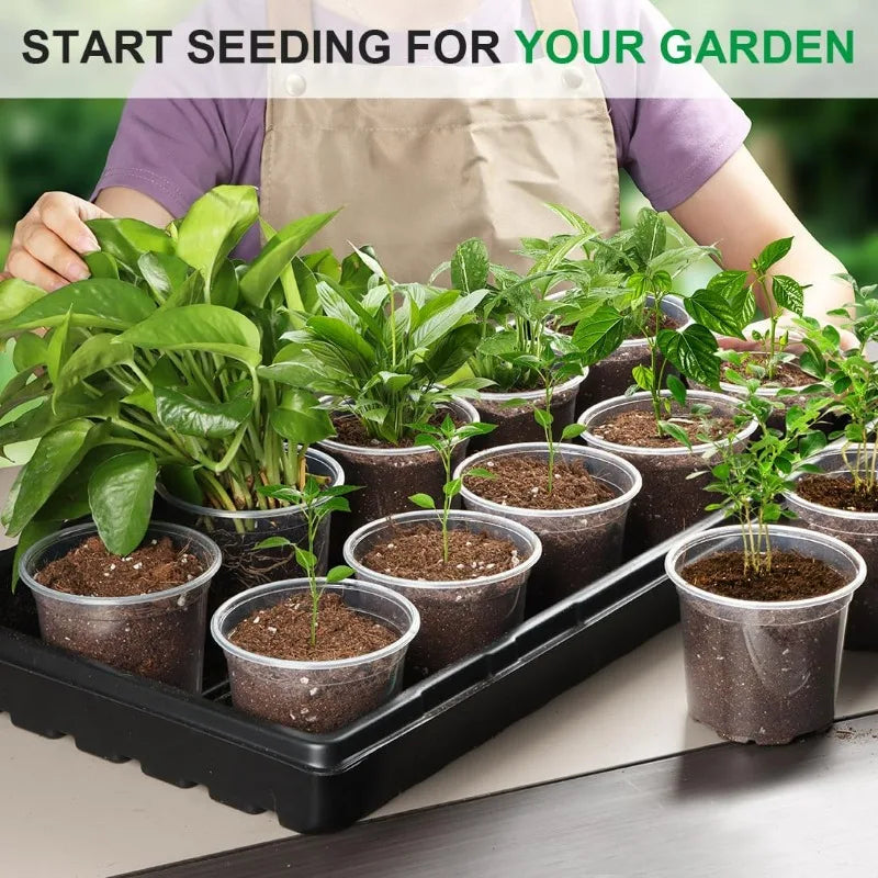 Clear nursery plant pots filled with soil and small seedlings arranged on a tray