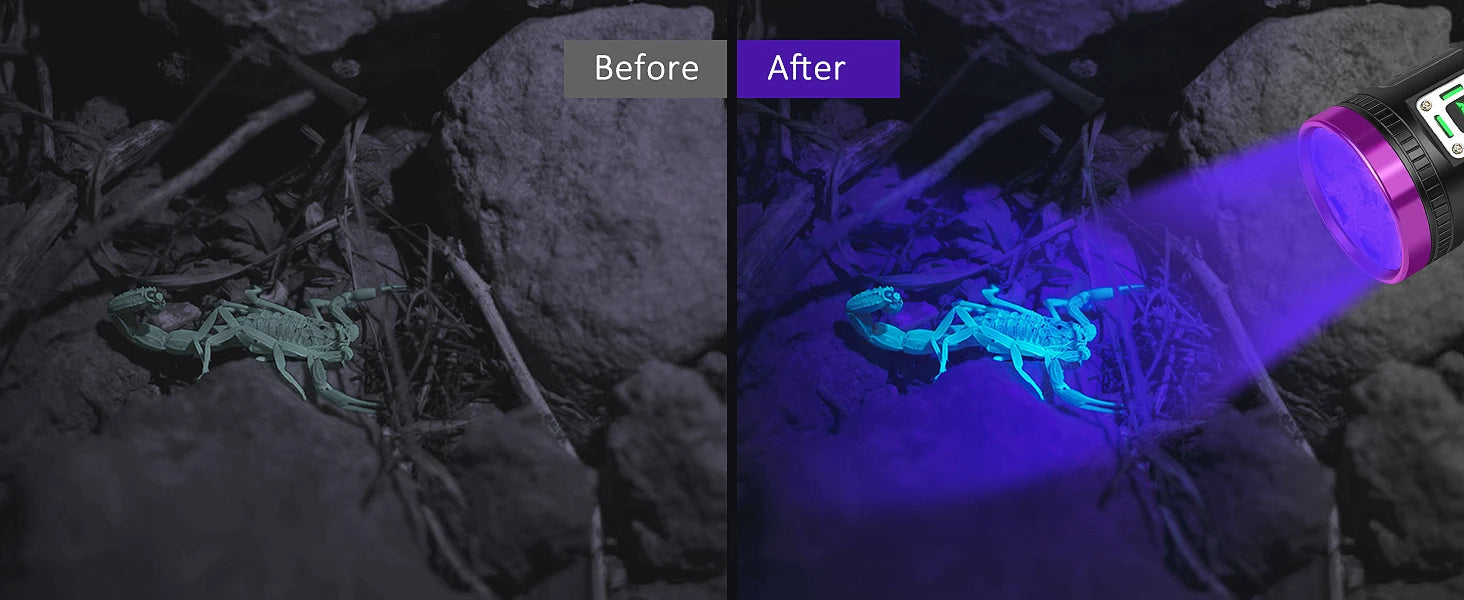 120W rechargeable UV blacklight flashlight revealing a scorpion, ideal for pet urine detection and home pest control.