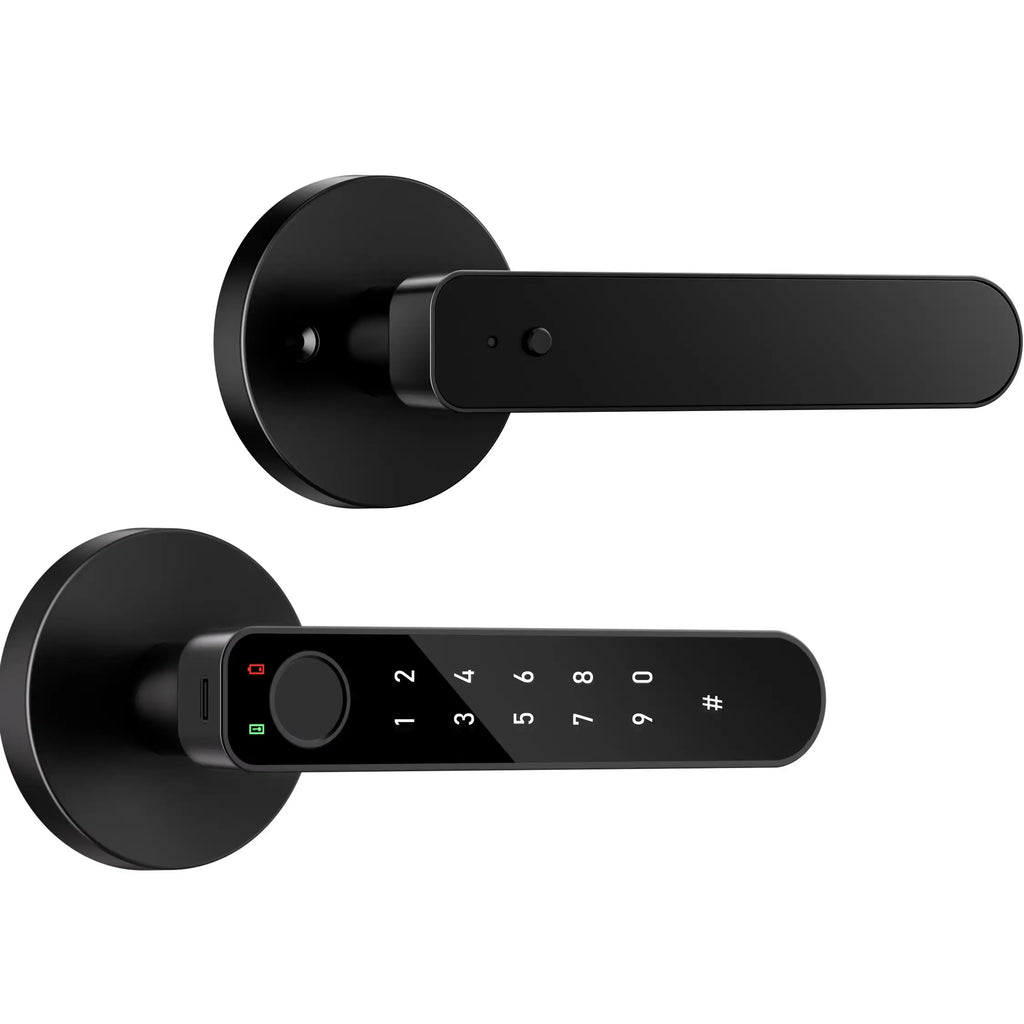ICCSSI Smart Door Lock Fingerprint Lock Fingerprint/Tuya APP/Password/IC Card/key Unlock Multi Language Audio Playback B208APRO
