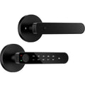 ICCSSI Smart Door Lock Fingerprint Lock Fingerprint/Tuya APP/Password/IC Card/key Unlock Multi Language Audio Playback B208APRO