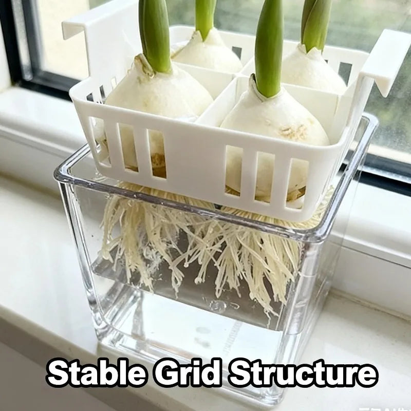 Hydroponic Planter Tulip Bulb Planter 4-cell Hydroponic Flower Pot with Reservoir Indoor Gardening Pot Drainage System for Home