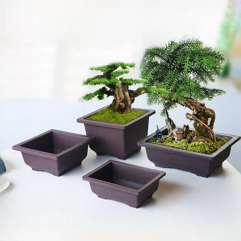 Garden Landscape Bonsai Tray Square Rectangular Flowerpot Succulent Plant Flowerpot Bonsai Pot Small Potted Gardening Supplies