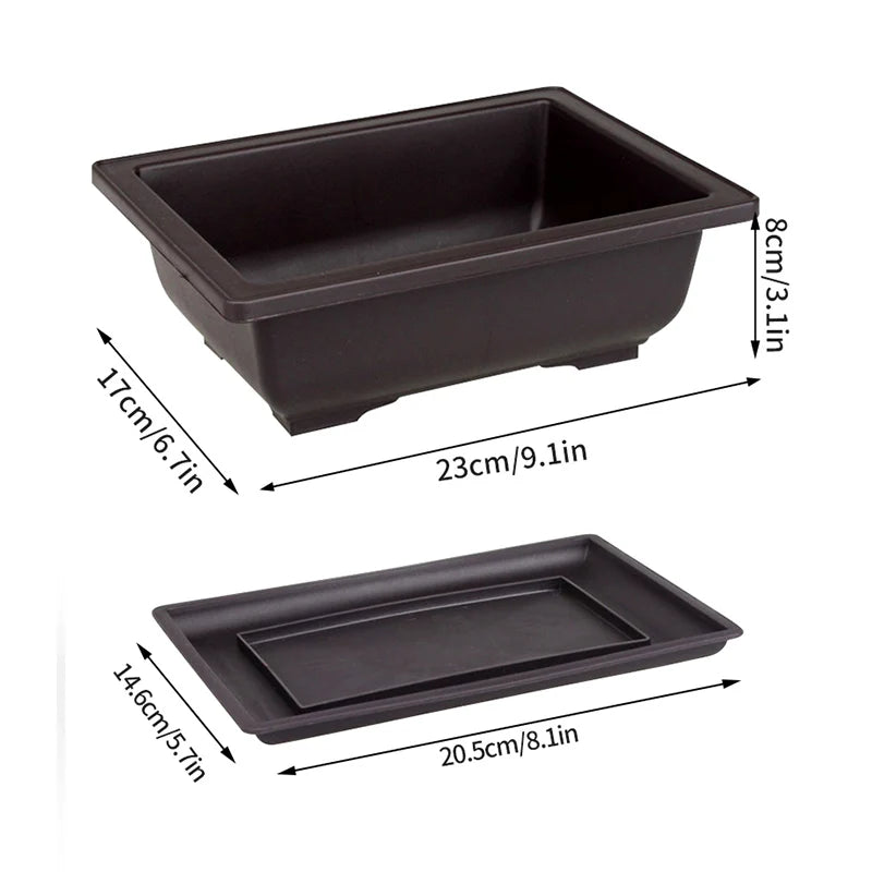 Rectangular black planter with matching tray for succulents and bonsai