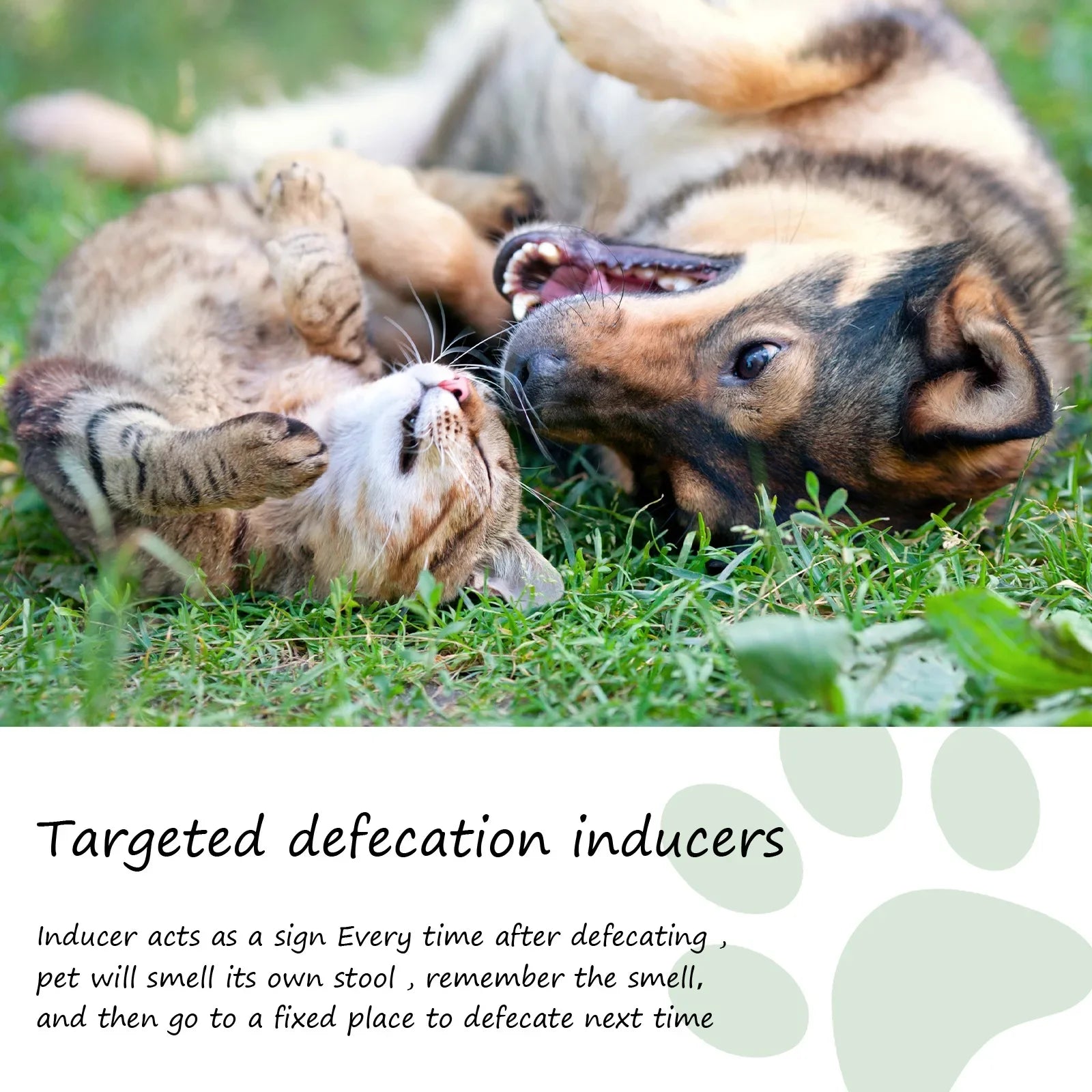 Puppy and kitten toilet training spray for easy pet potty positioning and fixed-spot defecation.
