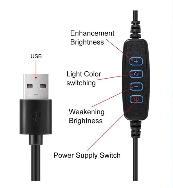 10 Inch LED Ring Light with Phone Holder - Adjustable Studio Lighting Tidesmit