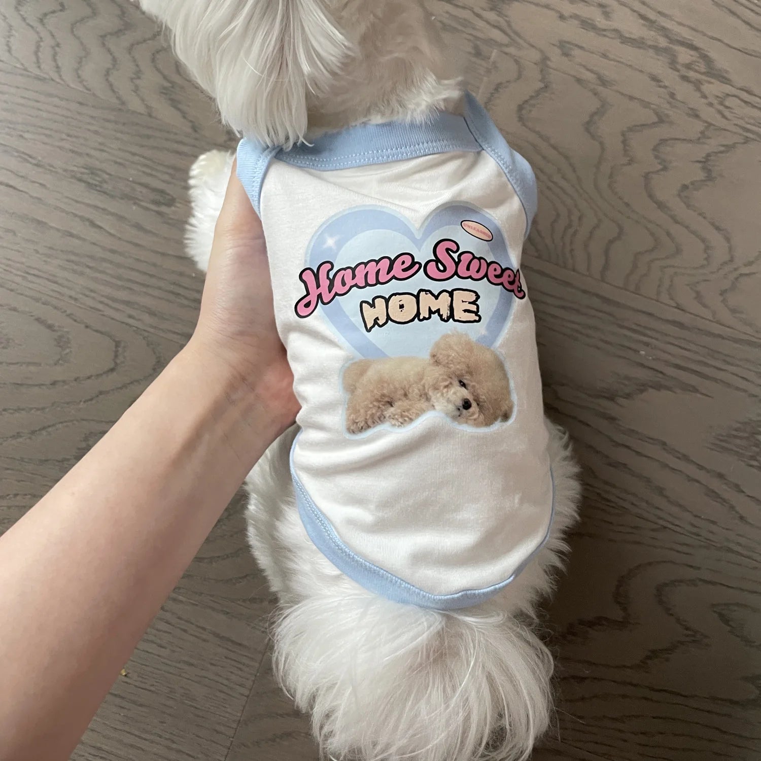 Cute puppy vest in white and blue, featuring a Home Sweet Home print for small dogs like Yorkies and Teddy breeds.