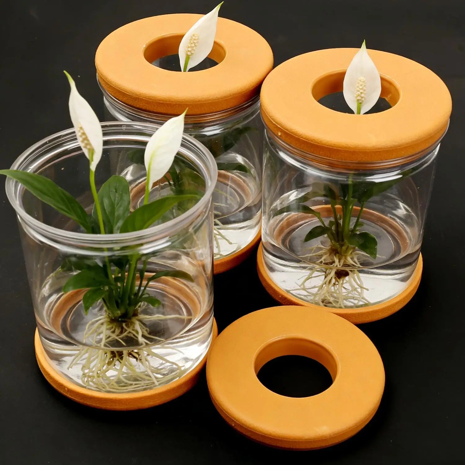 5/1PCS Transparent Hydroponic Flowerpot Hydroponic Plant Container with Soft Stopper Non Slip Bottom Home Office Gardening Pots