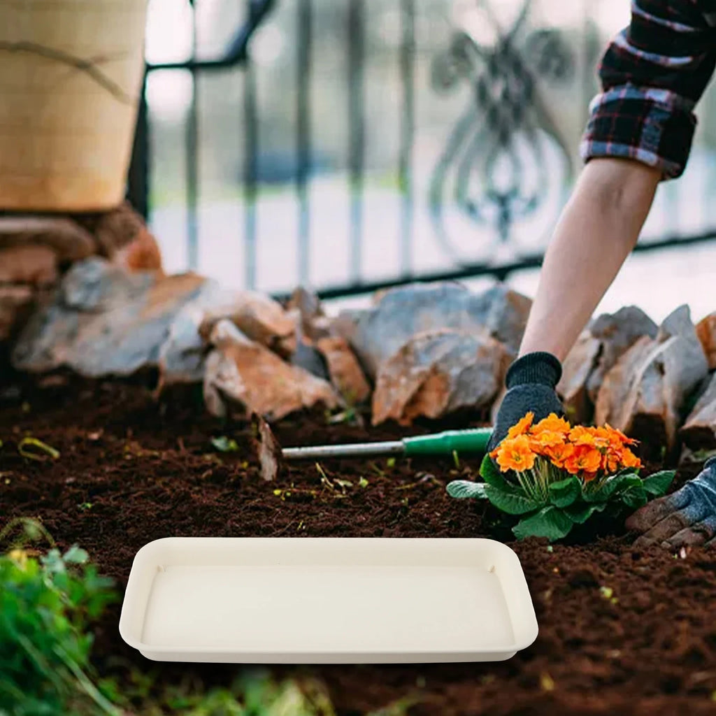 Beige rectangular plastic water tray for plants, placed on soil in garden