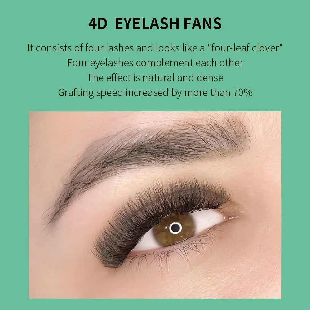 GLAMLASH 4D5D W Shaped Eyelash Extension Premade Volume Fans W Style Lashes Faux Mink Soft Easy Faning Natural Lashes False Eyelashes Tidesmit