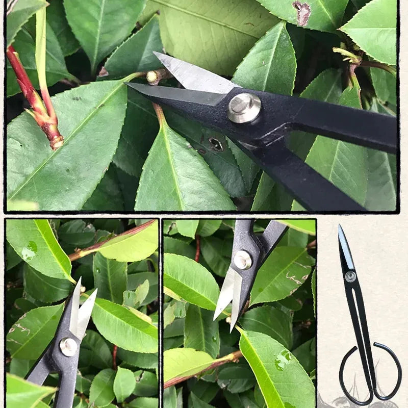 Pruning scissors cutting through green leaves with long black handle
